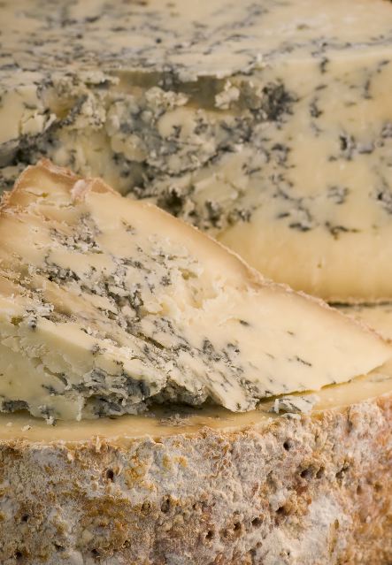 This Stilton has a crumbly and creamy paste with a naturally earthy rind. Its creamy pale yellow interior is laced with deep blue veins radiating from the centre. It has a bold aroma and a characteristically tangy, slightly metallic flavour.