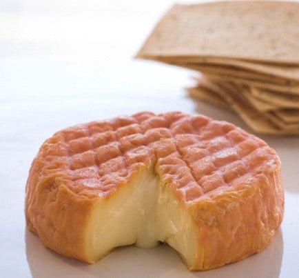 During its maturation, the cheese is repeatedly washed with Chablis, a white wine made from chardonnay grapes in the Burgundy region. This helps keep the rind moist to provide the environment preferred by the desired microflora. Their job is to ripen this cheese from the outside into the centre, until it becomes molten and when fully ripe. 