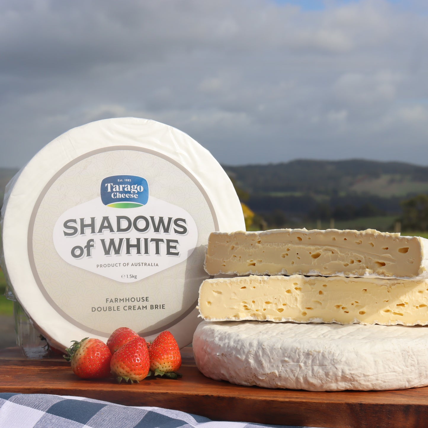 Tarago Cheese Shadows of White