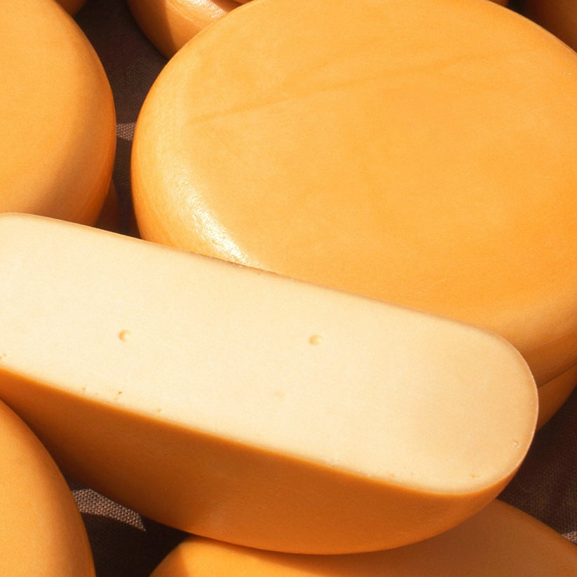 Dutch Gouda Mild – Cheese Culture